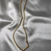 Collar Páncer Mediano