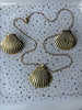 Conjunto Concha de Mar